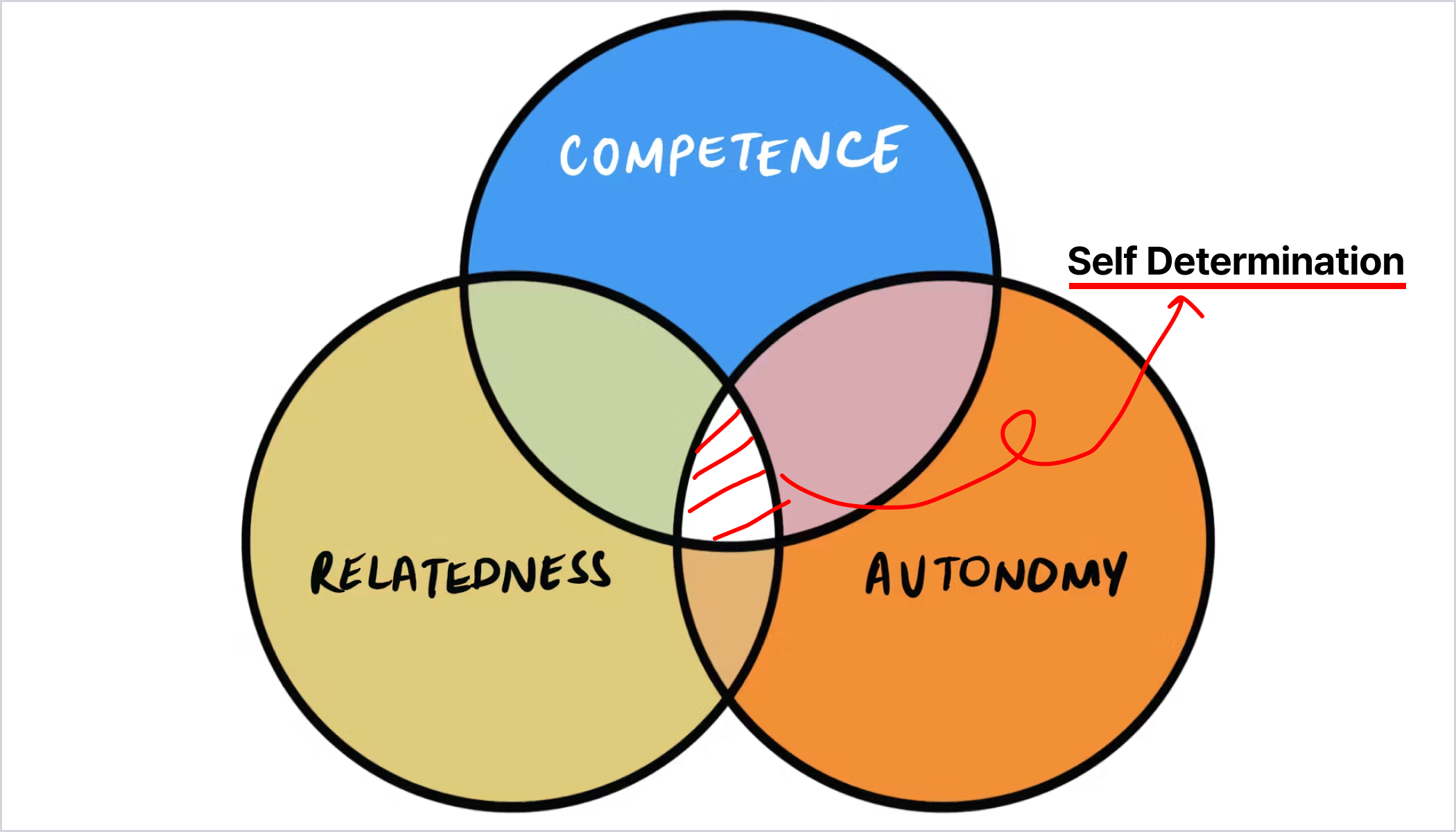 이미지3_자기결정이론(bg)