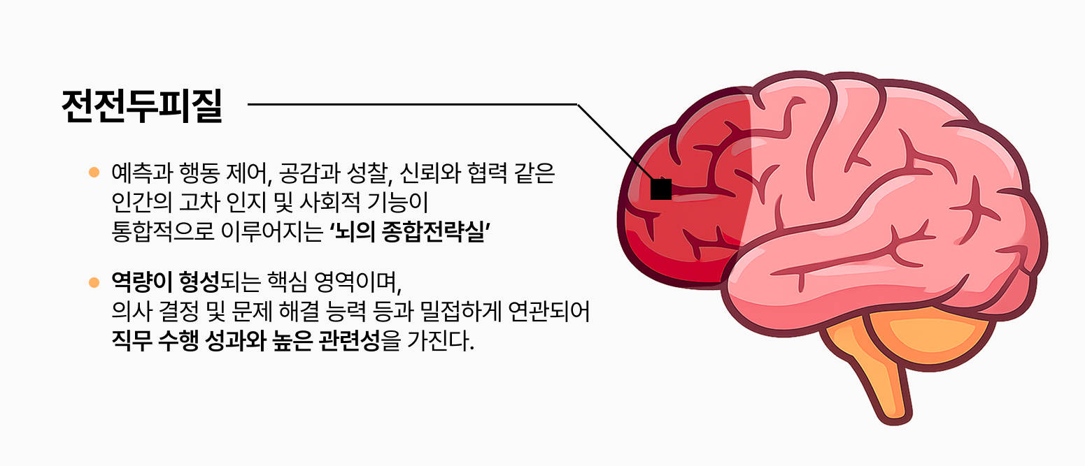 전전두피질