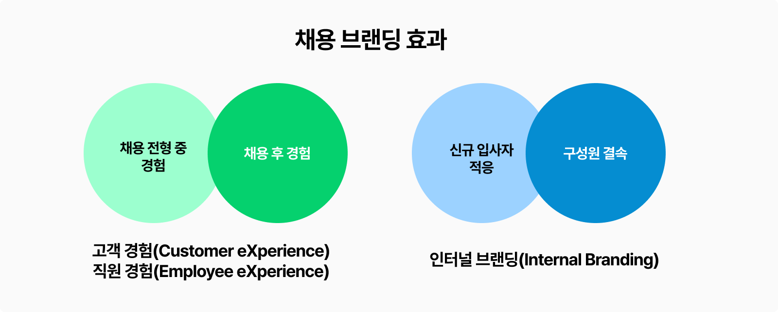 채용 브랜딩 효과