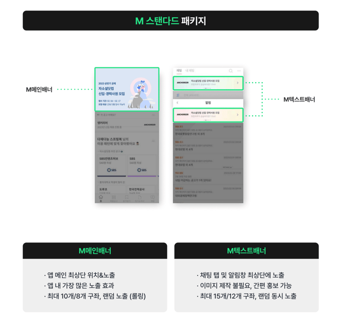 자소설닷컴_M스탠다드패키지