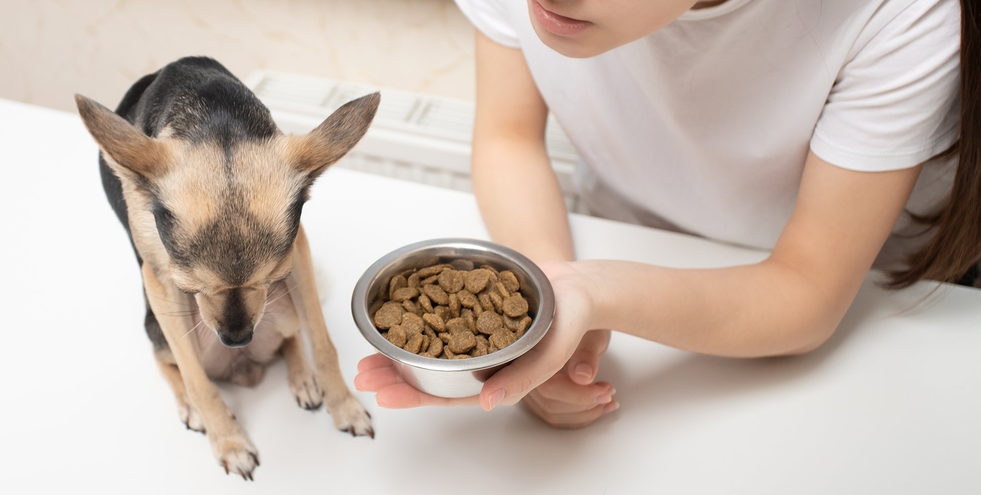 콘트라프리로딩2