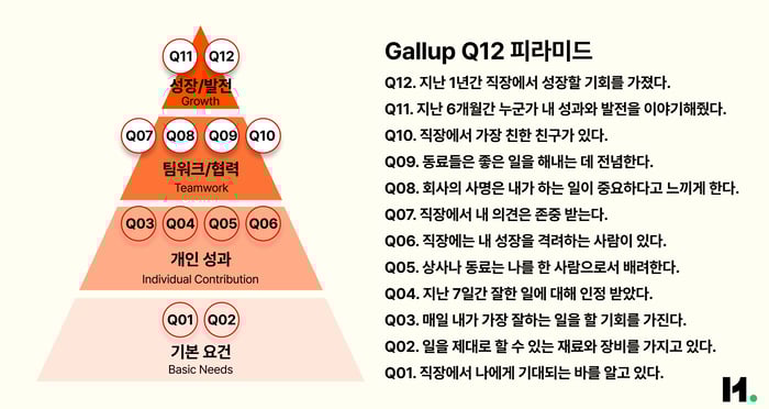 이미지_갤럽 Q12 피라미드