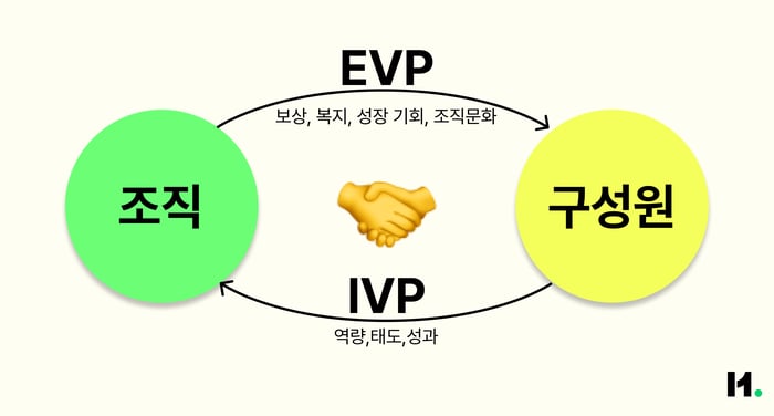 이미지_EVP&IVP