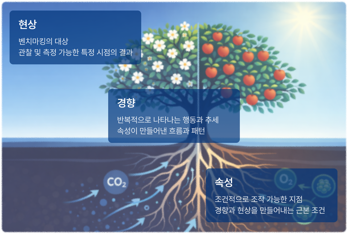 현상-경향-속성
