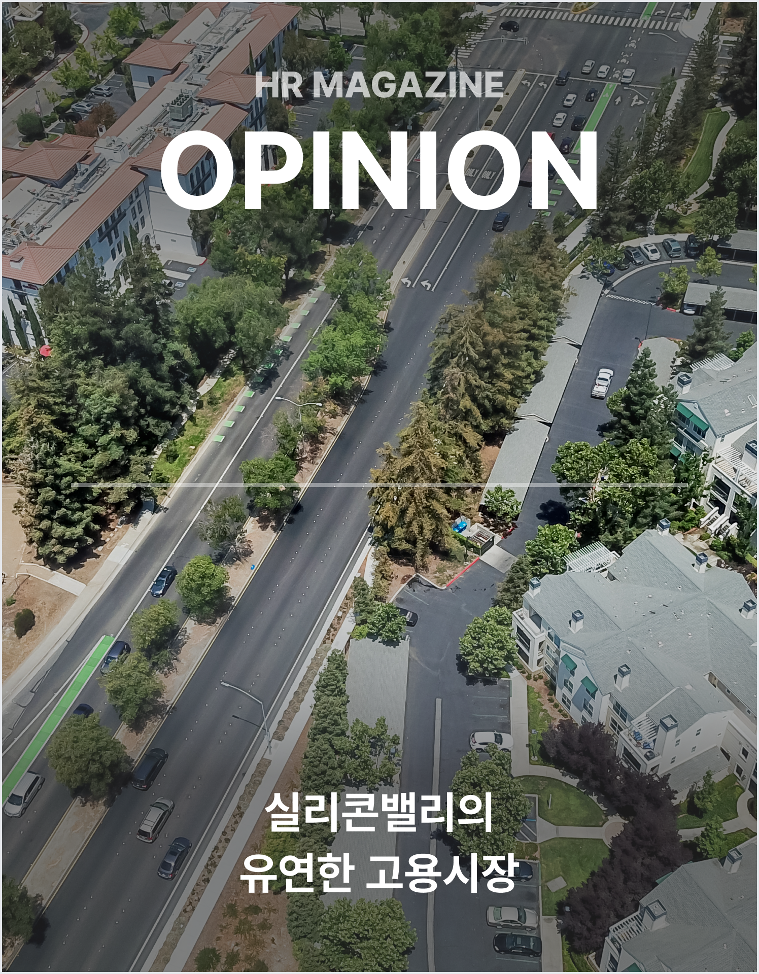 실리콘밸리의 유연한 고용시장